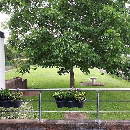 Ferienhaus Sonnenhang Losheim am See Zewnętrze zdjęcie